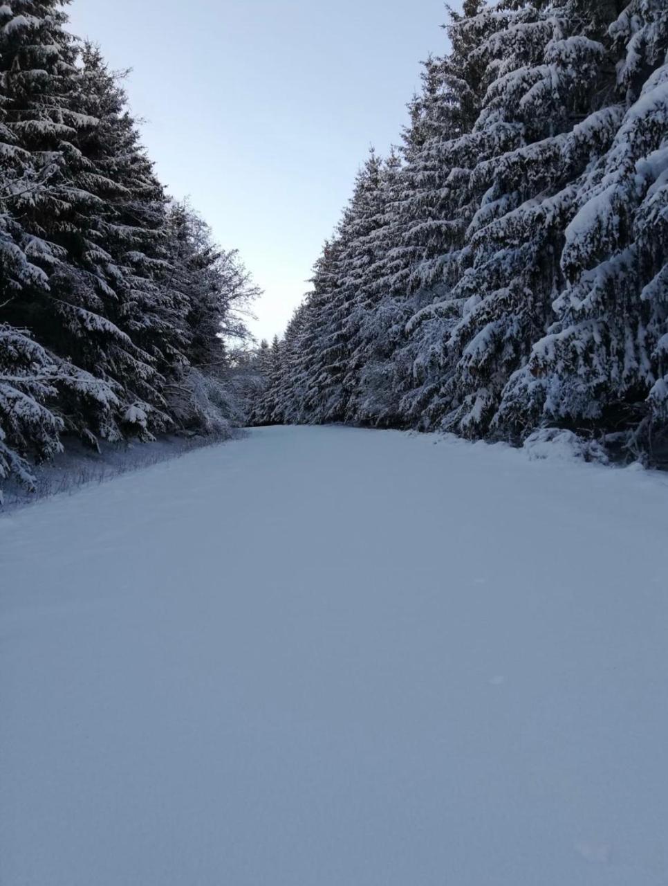 Апартаменты Poehl Am Nationalpark Eifel Шляйден Экстерьер фото